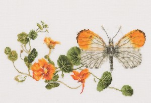 Thea Gouverneur 437 Butterfly-Nasturtium